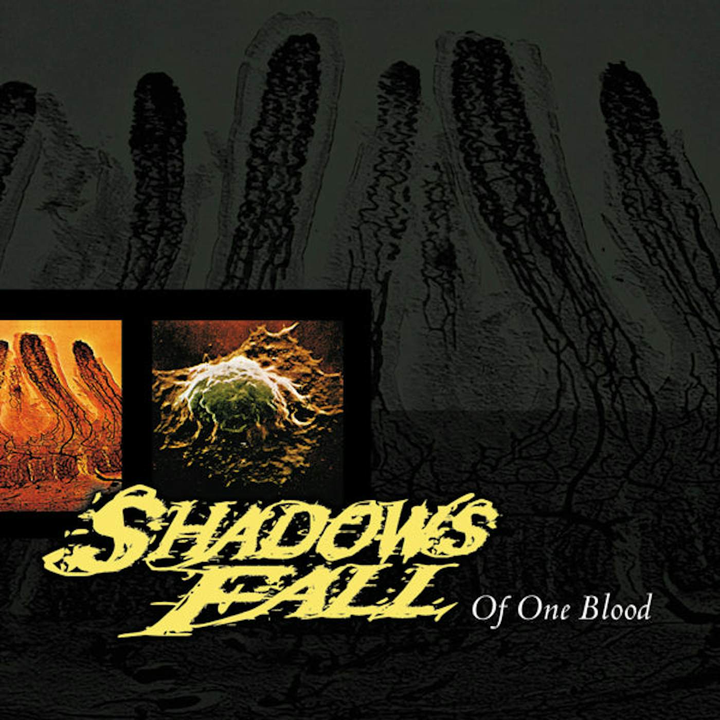 Shadows Fall LP - Of One Blood (Yellow With Black Marble Vinyl)