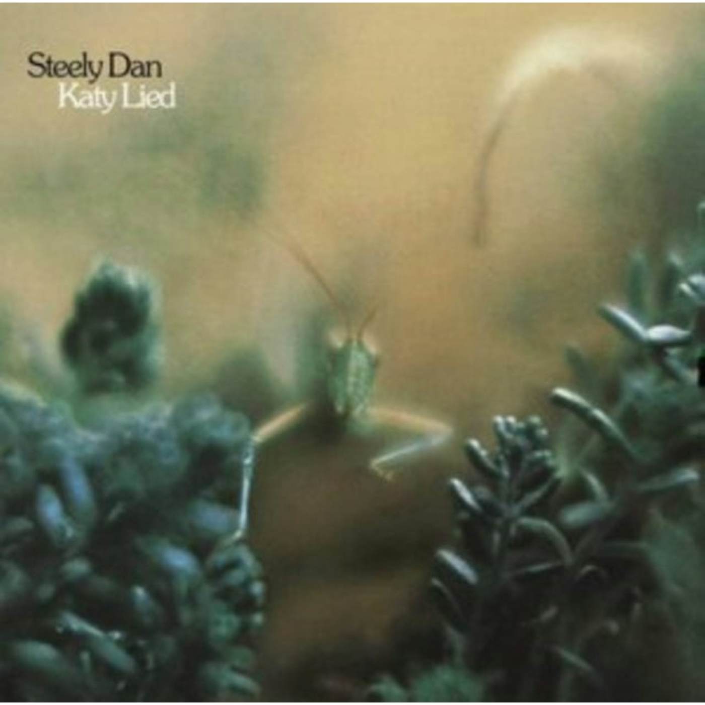 Steely Dan CD - Katy Lied