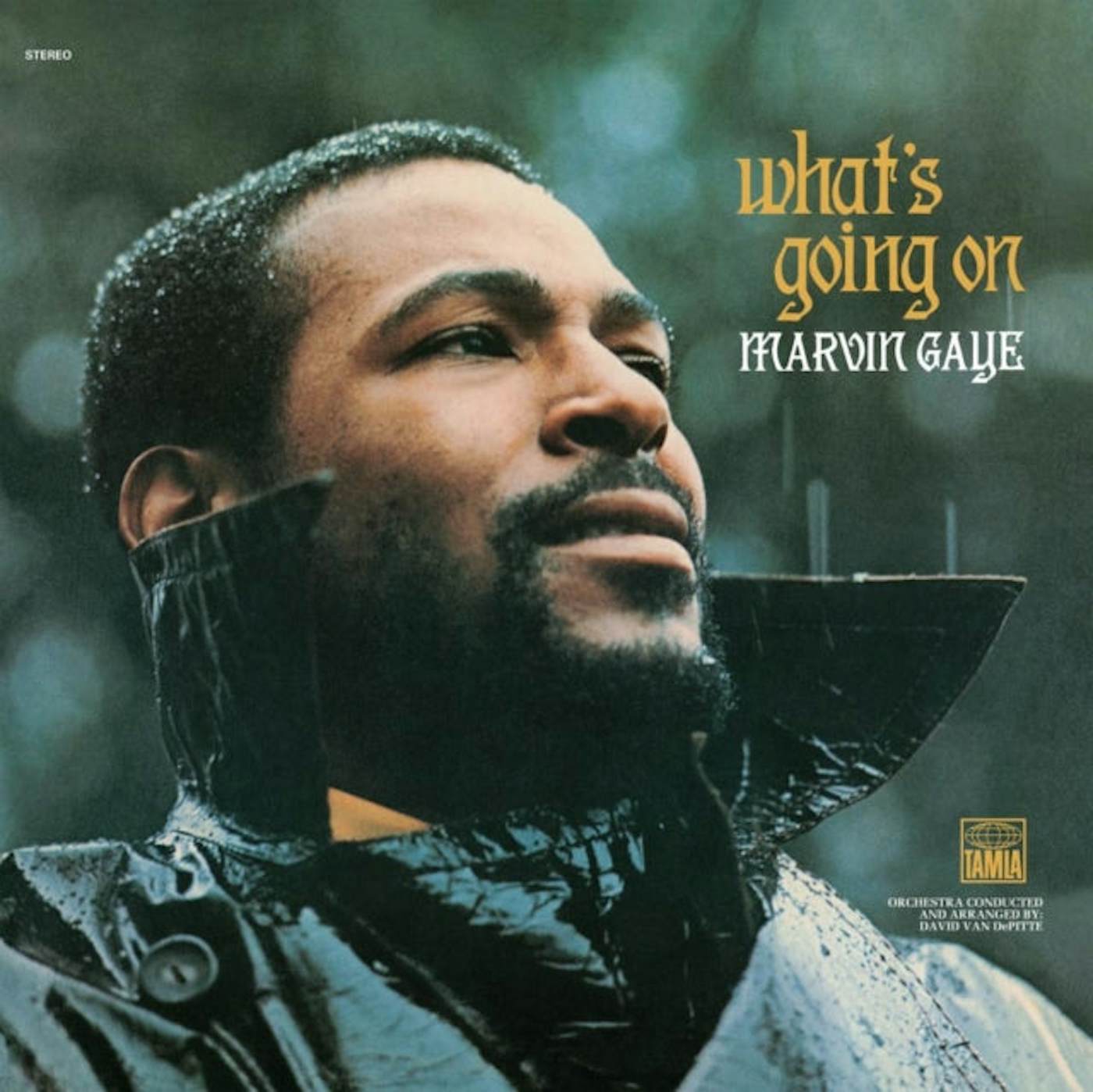 Marvin Gaye WHAT'S GOING ON (50TH ANNIVERSARY) Vinyl Record