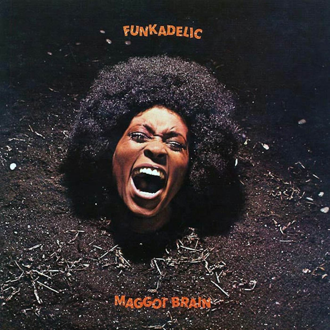 Funkadelic  LP Vinyl Record -  Maggot Brain