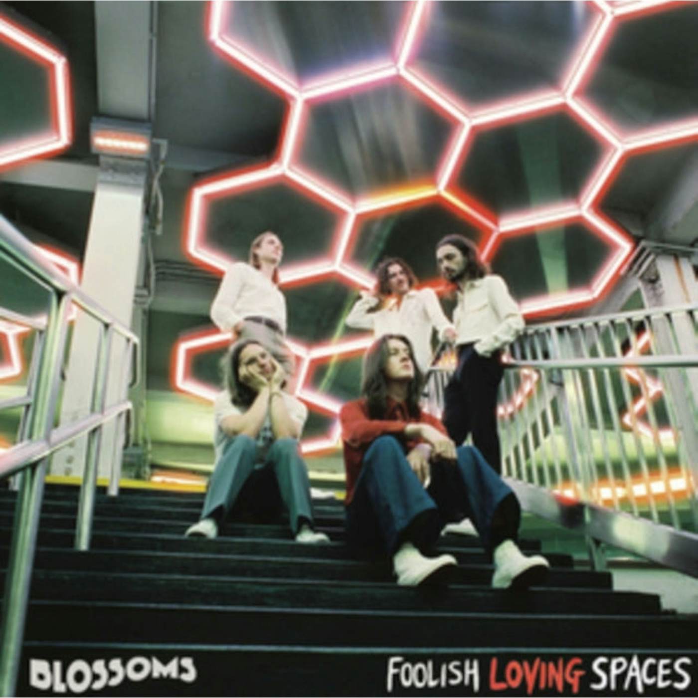 Blossoms CD - Foolish Loving Spaces