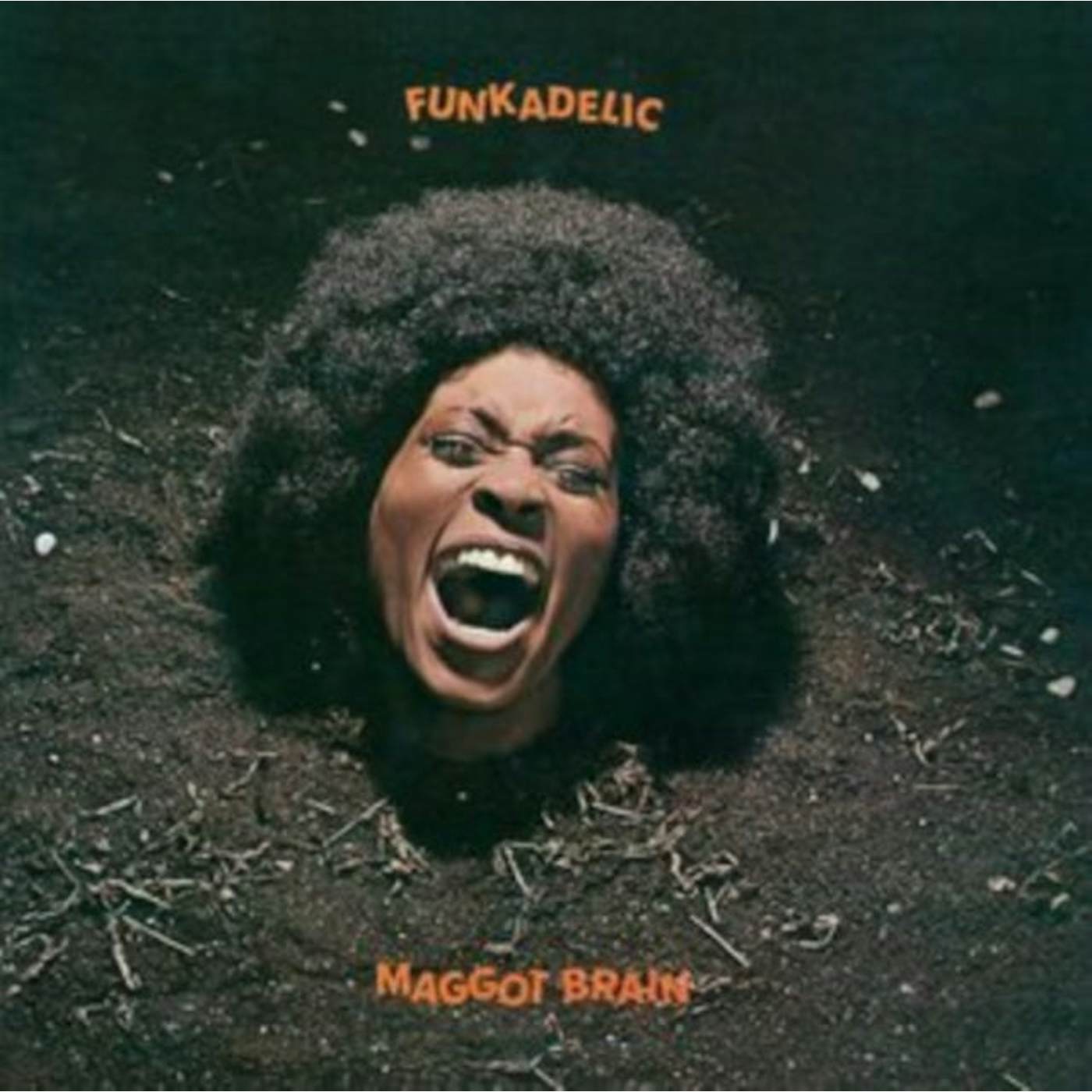 Funkadelic LP Vinyl Record - Maggot Brain (50th Anniversary Edition)