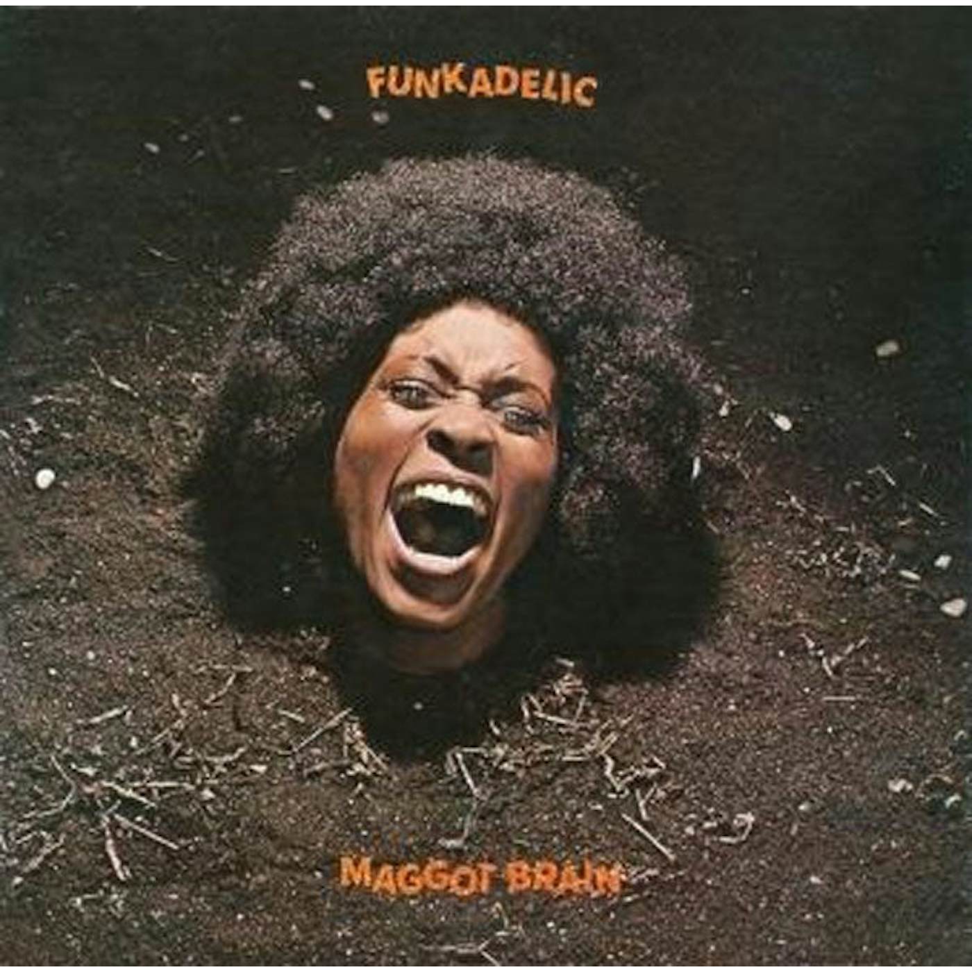 Funkadelic LP - Maggot Brain (Vinyl)