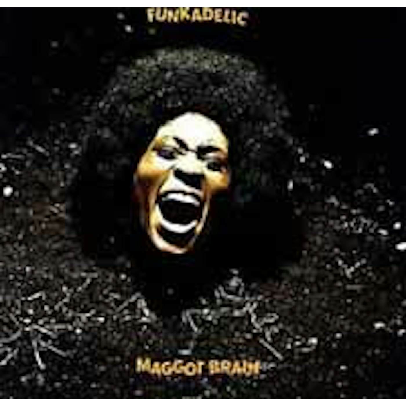 Funkadelic LP - Maggot Brain (Vinyl)