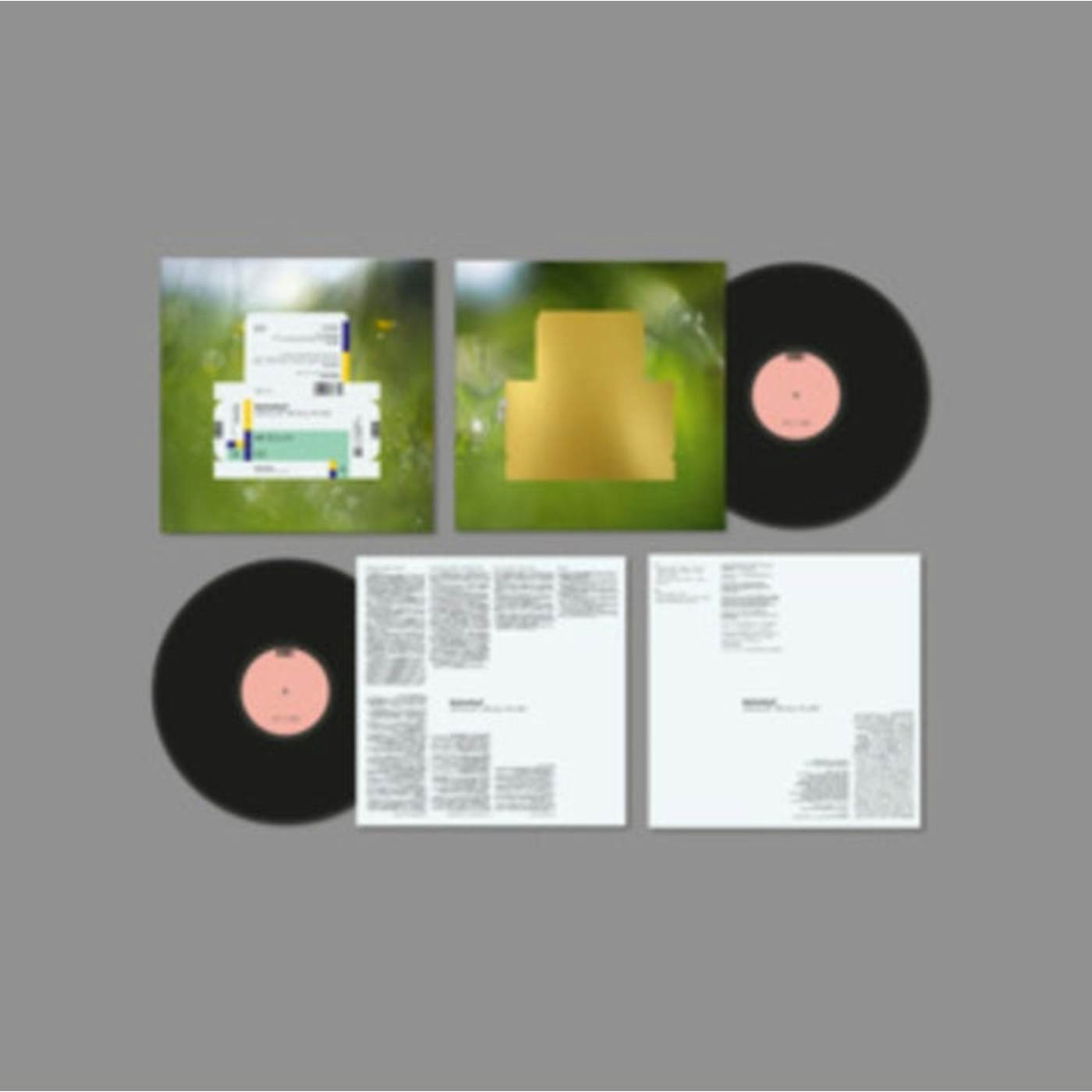 Spiritualized LP - Everything Was Beautiful (Japanese Version) (Vinyl)