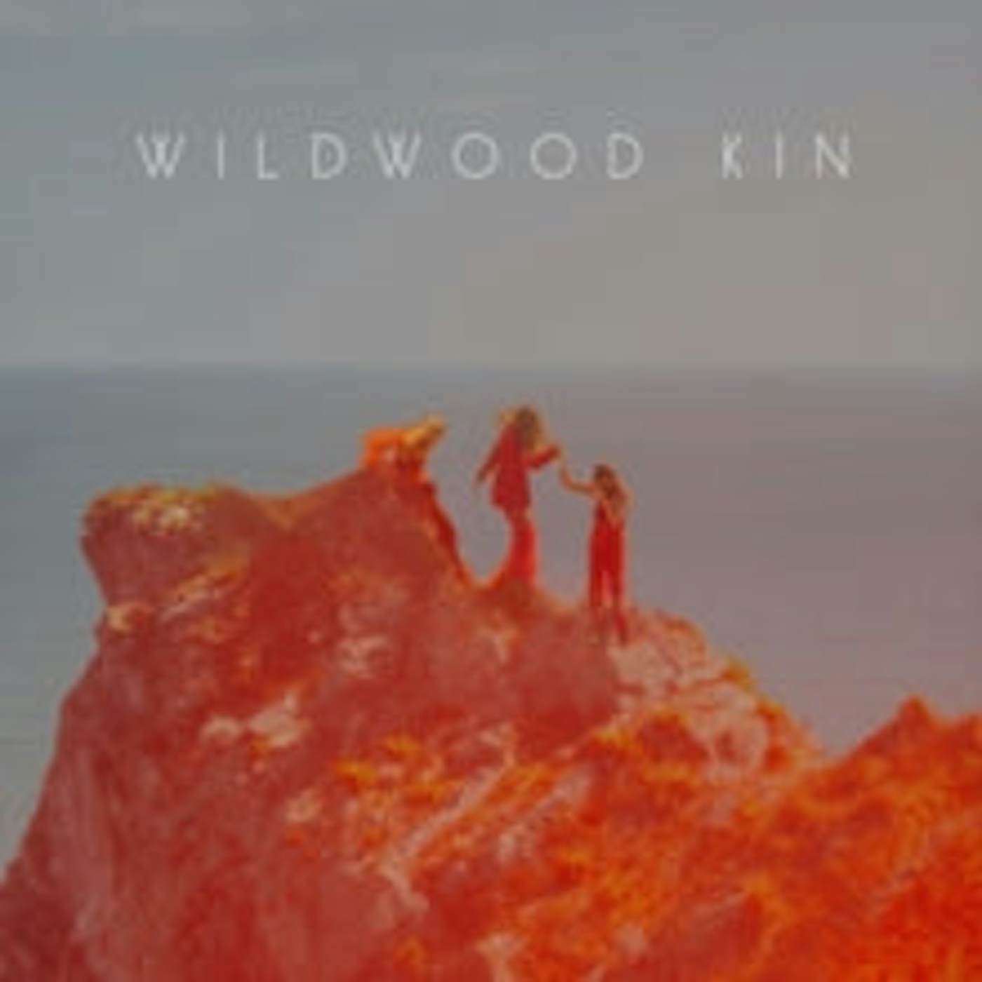 Wildwood Kin CD - Wildwood Kin