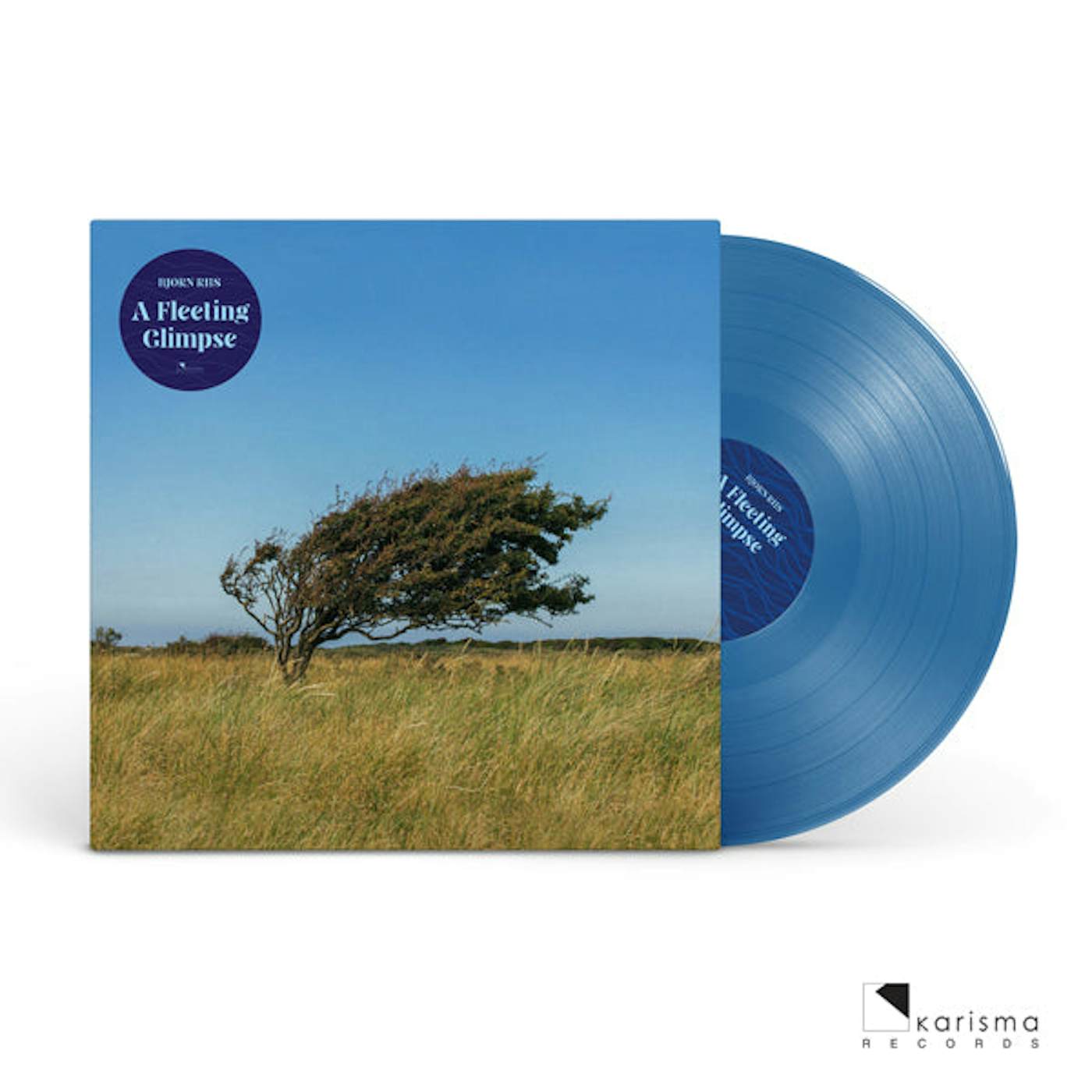 Bjørn Riis LP - A Fleeting Glimpse (Blue Vinyl)
