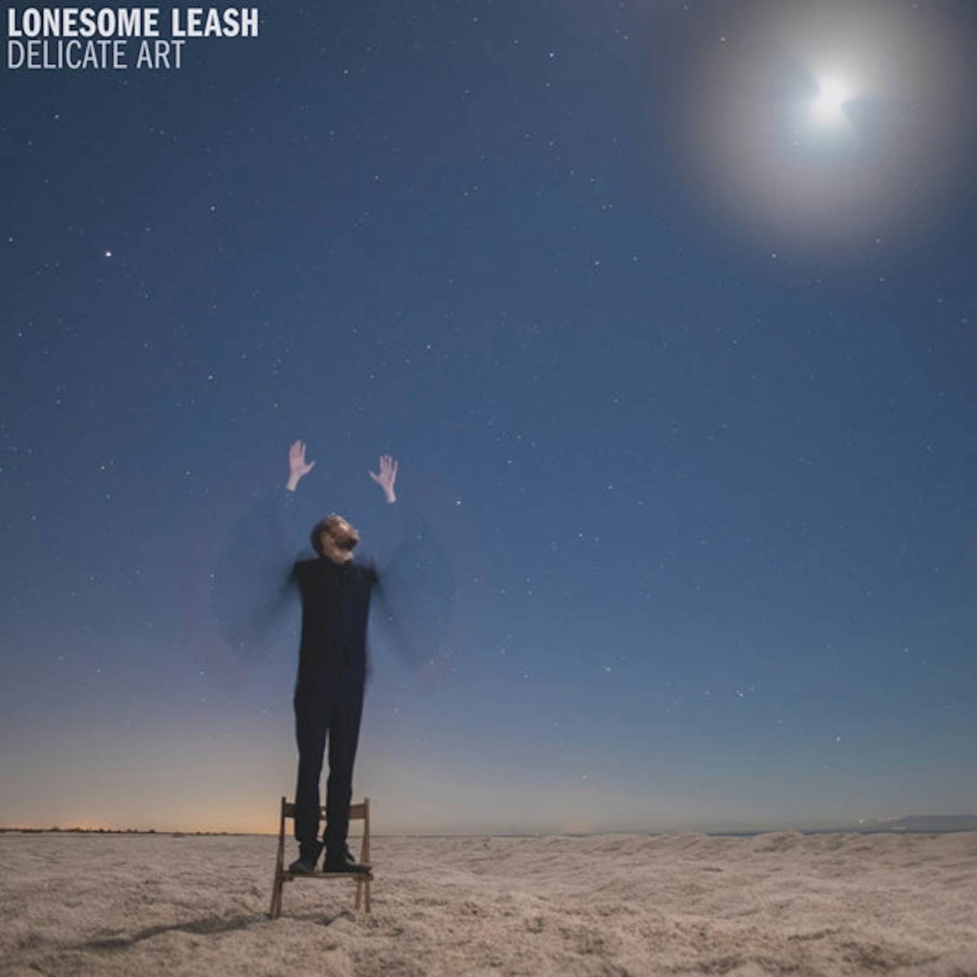 Lonesome Leash LP - Delicate Art (Vinyl)