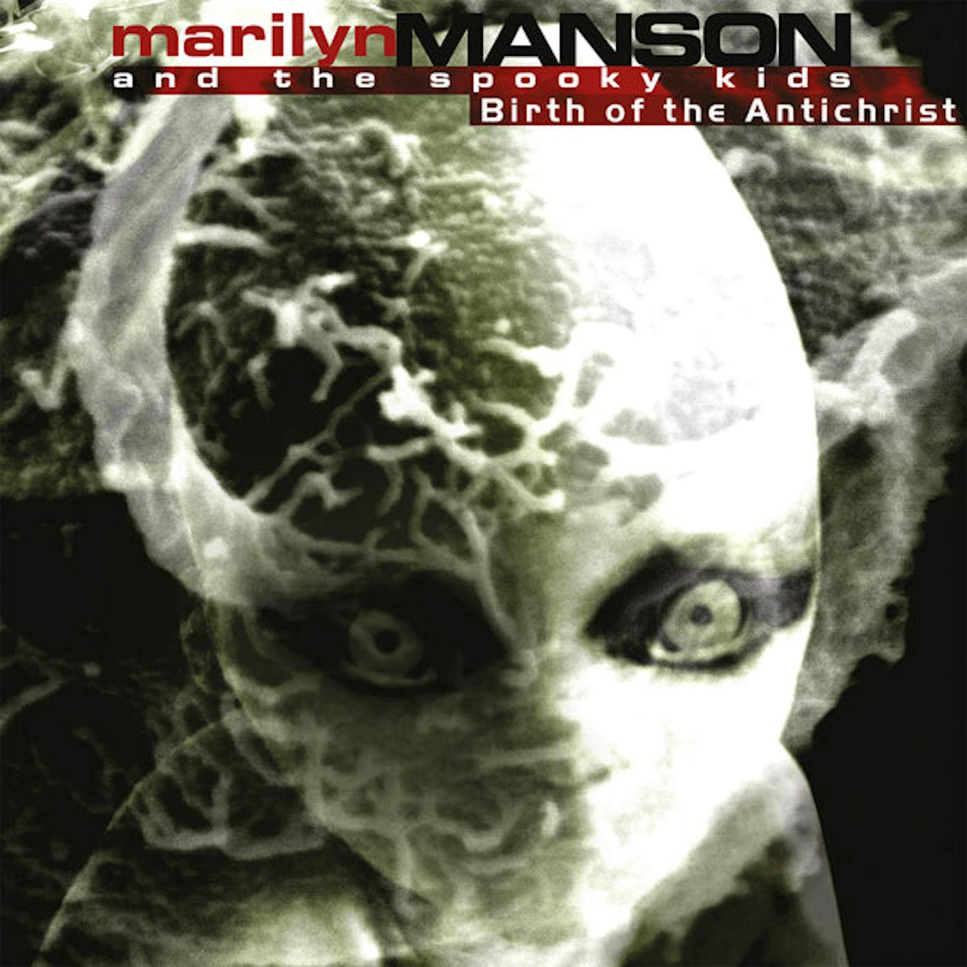 Marilyn Manson LP - Birth Of The Anti Christ (Clear Vinyl)