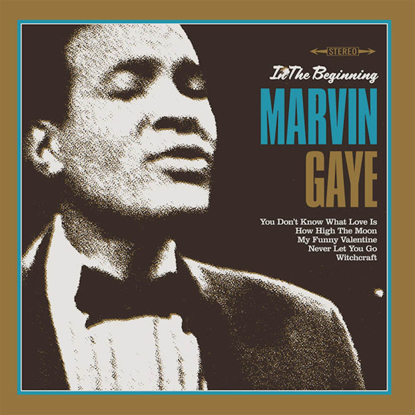 Marvin Gaye LP - In The Beginning (Vinyl)