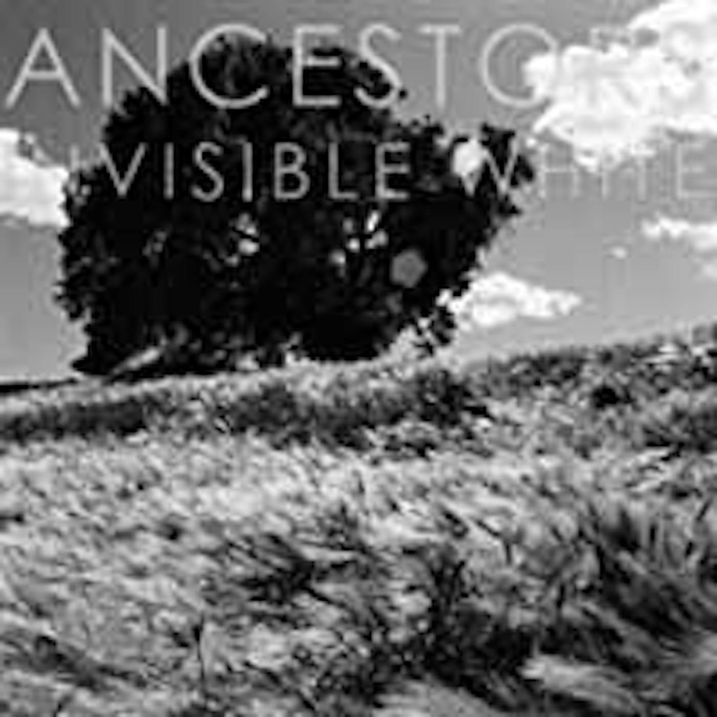 Ancestors LP - Invisible White (Vinyl)