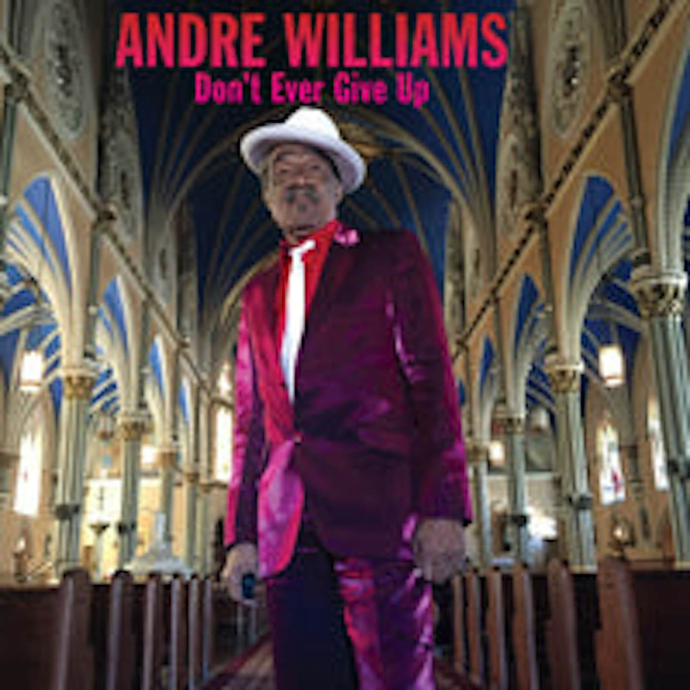 Andre Williams LP - Don’T Ever Give Up (Vinyl)
