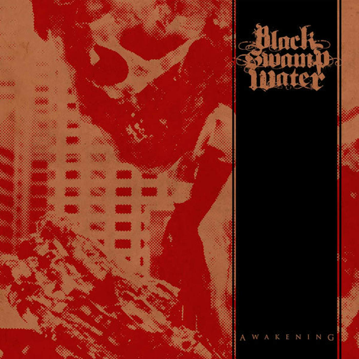 Black Swamp Water LP - Awakening (Vinyl)