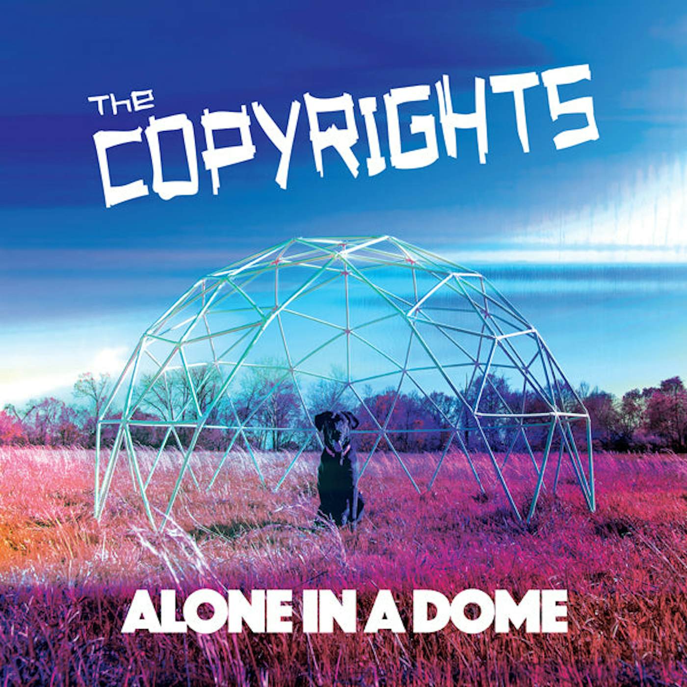 The Copyrights LP - Alone In A Dome (Vinyl)