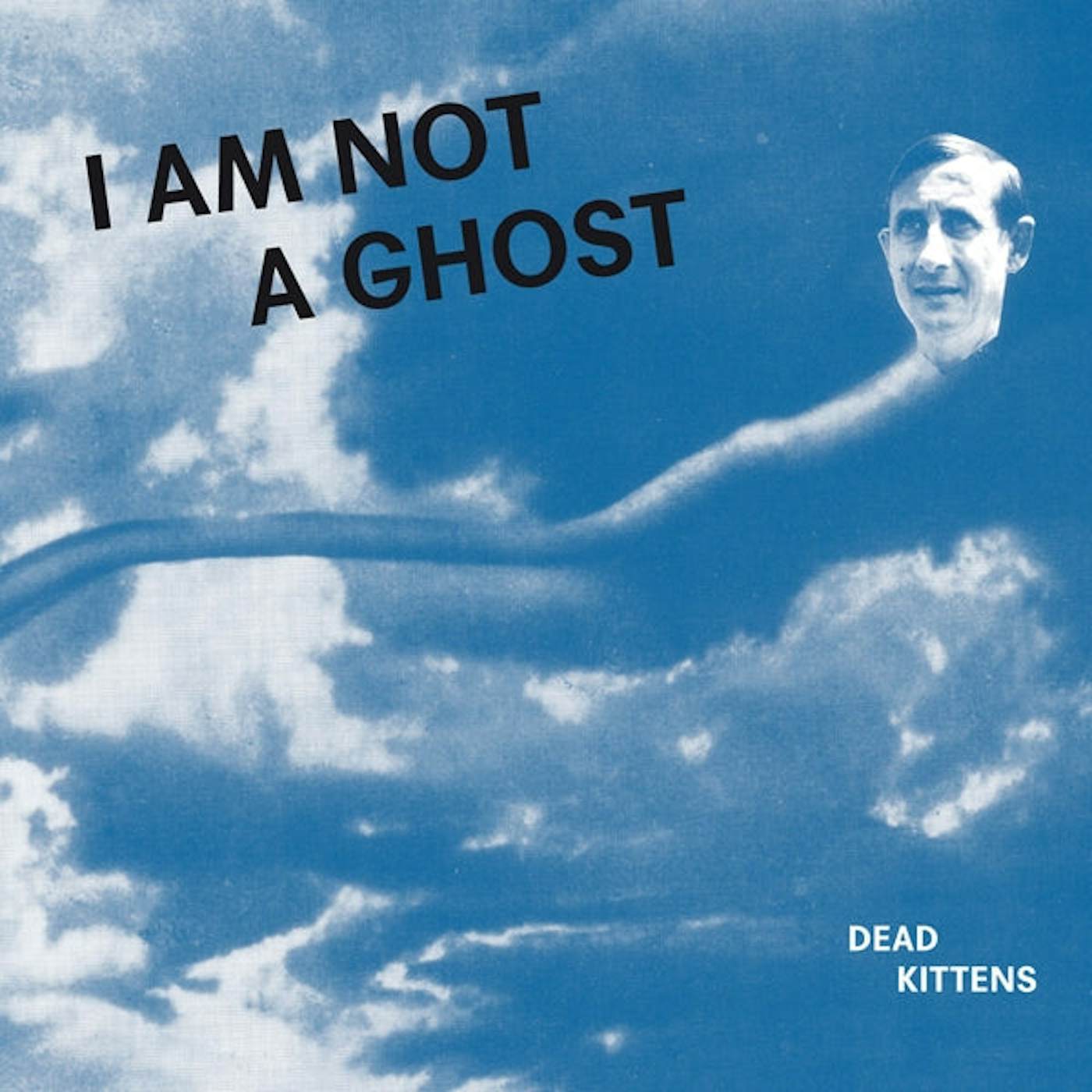 Dead Kittens LP - I Am Not A Ghost (Vinyl)