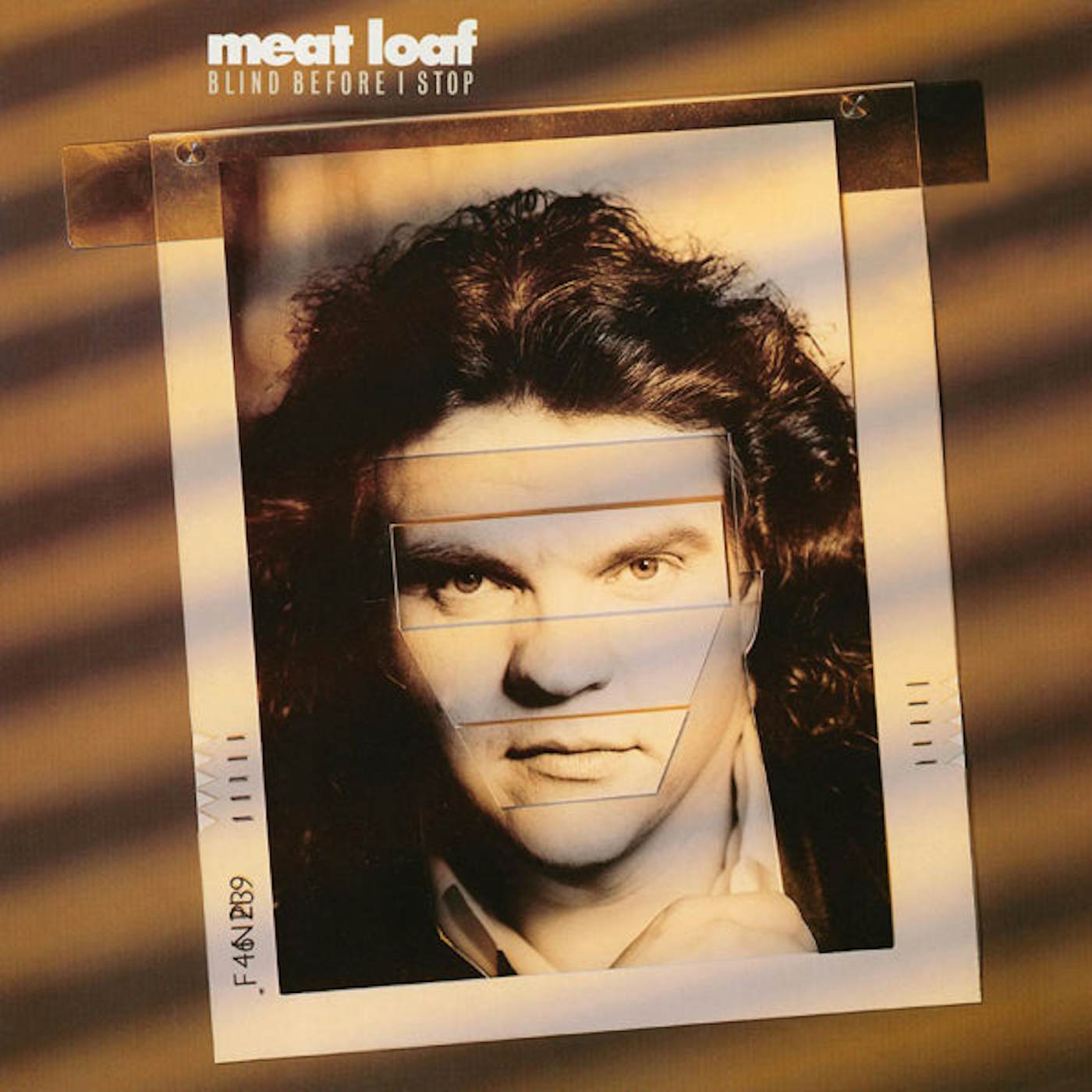 Meat Loaf LP - Blind Before I Stop (1Lp Black) (Vinyl)