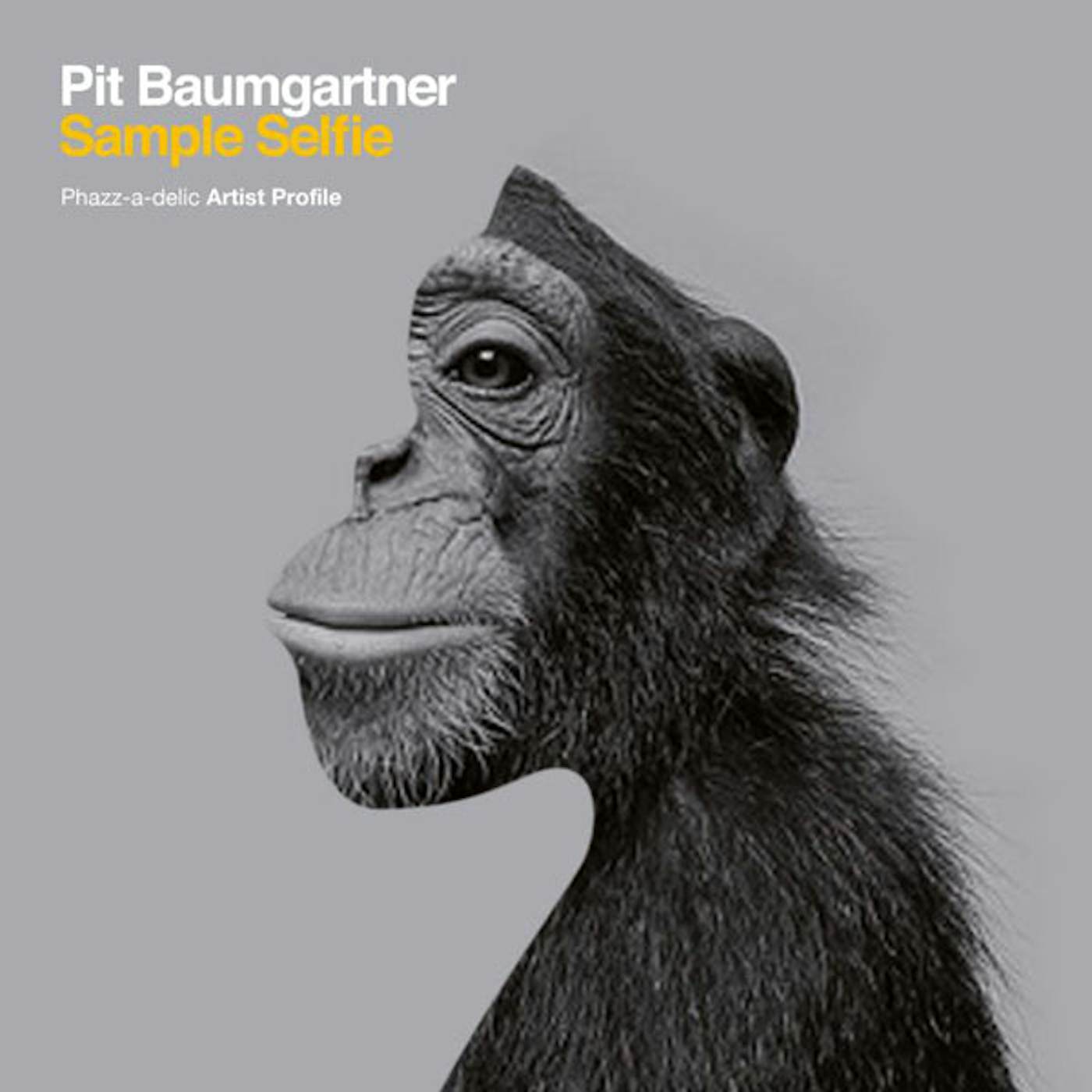 Pit Baumgartner LP - Sample Selfie (Vinyl)