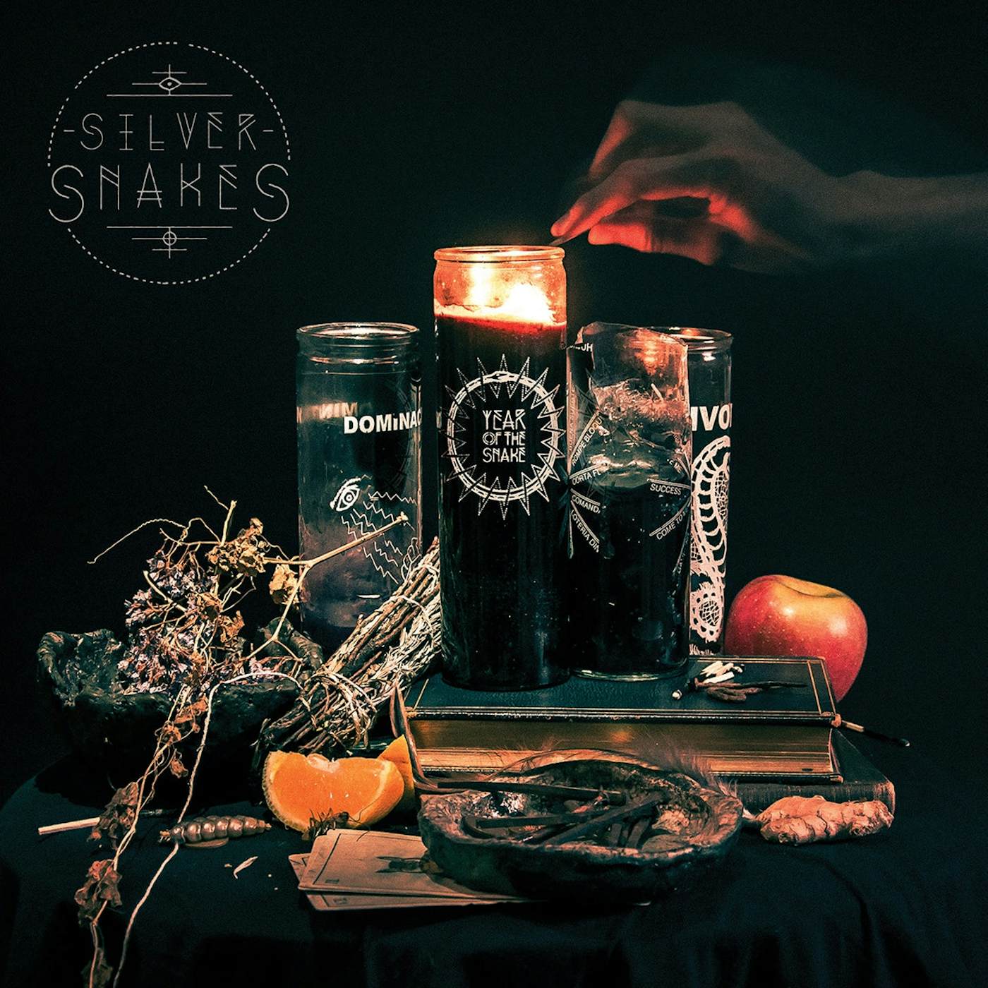 Silver Snakes LP - Year Of The Snake (Vinyl)