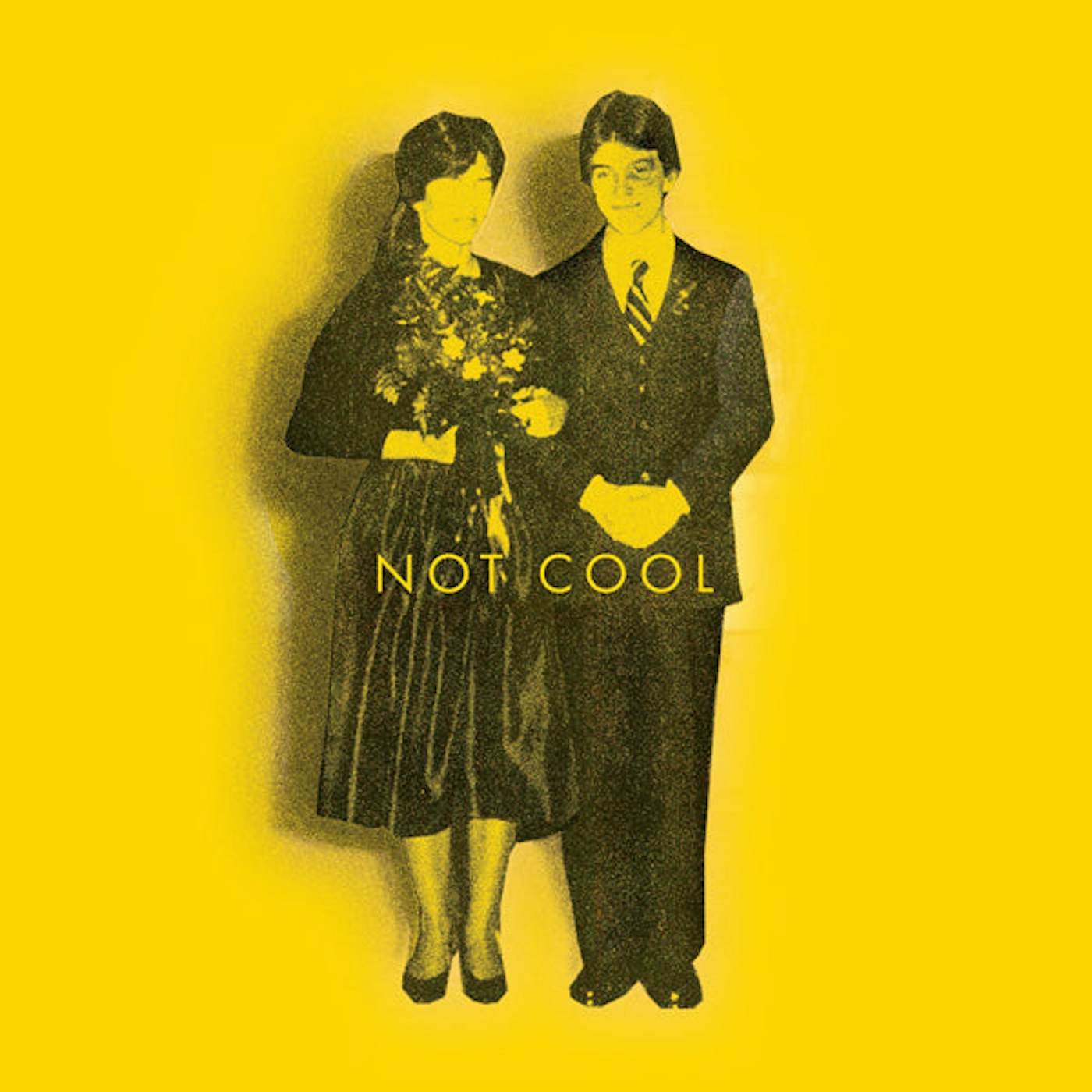  Tim Easton LP - Not Cool (Vinyl)
