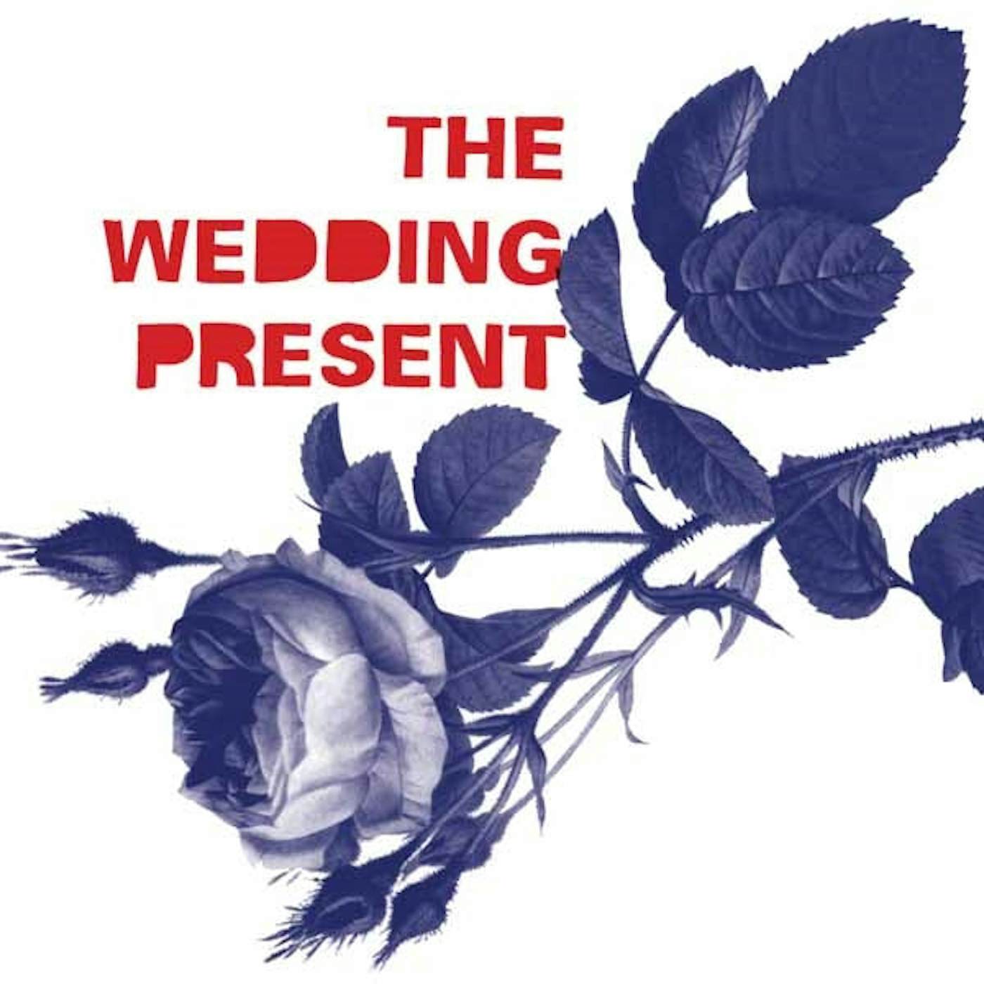 The Wedding Present LP - Tommy 30 (Vinyl)