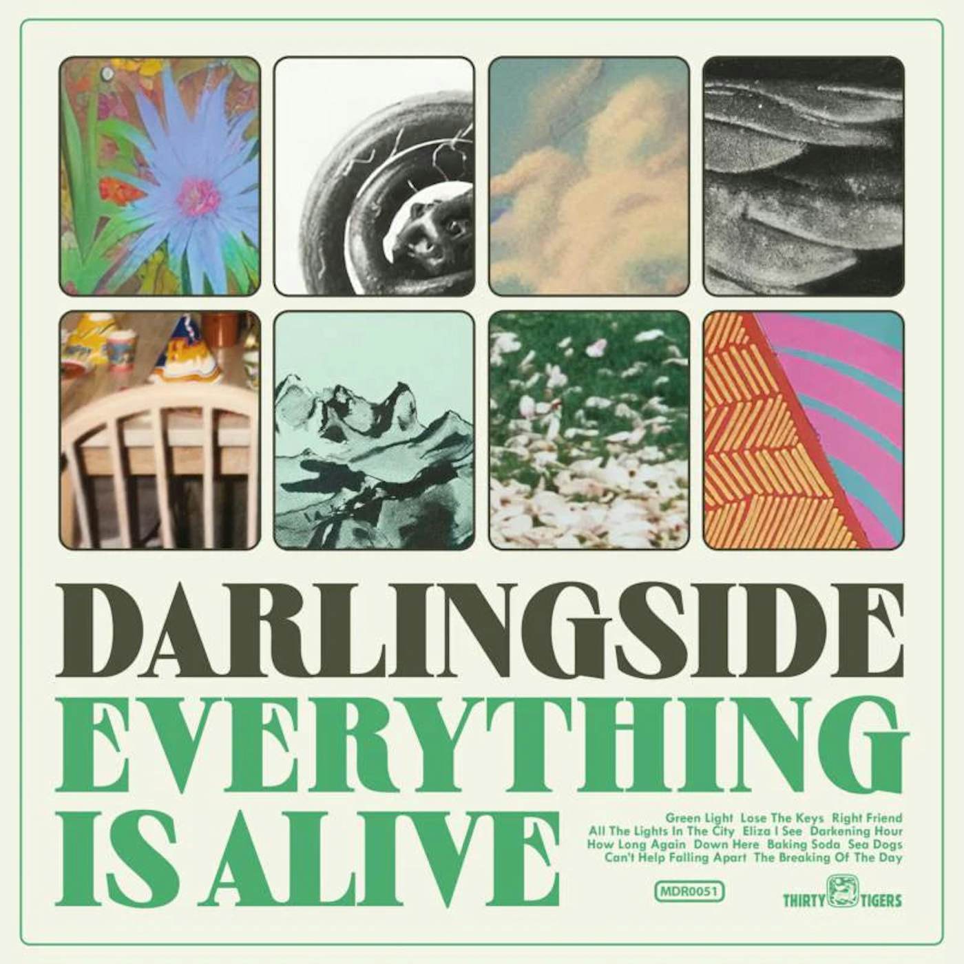 Darlingside LP - Everything Is Alive (Vinyl)