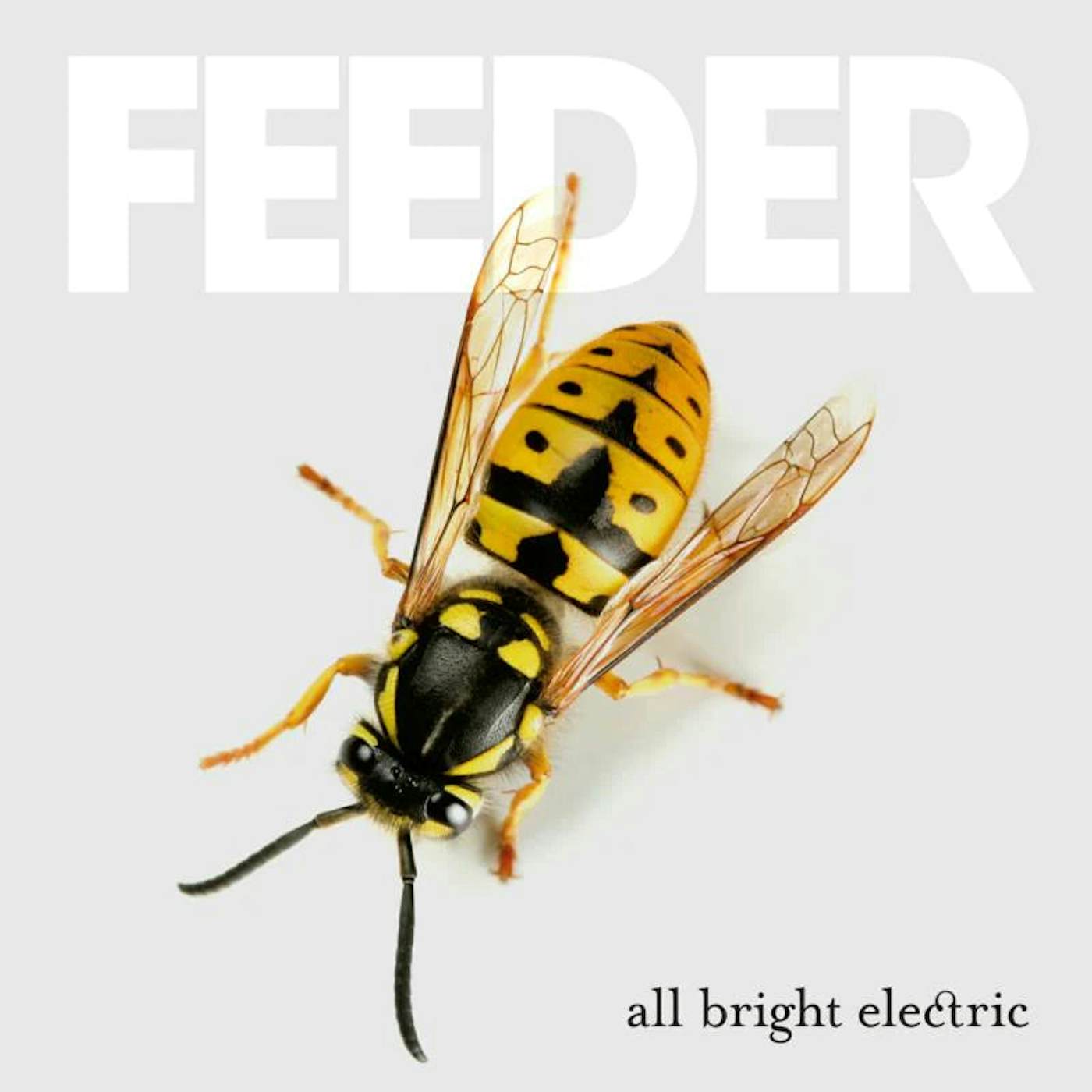 Feeder LP - All Bright Electric (Vinyl)