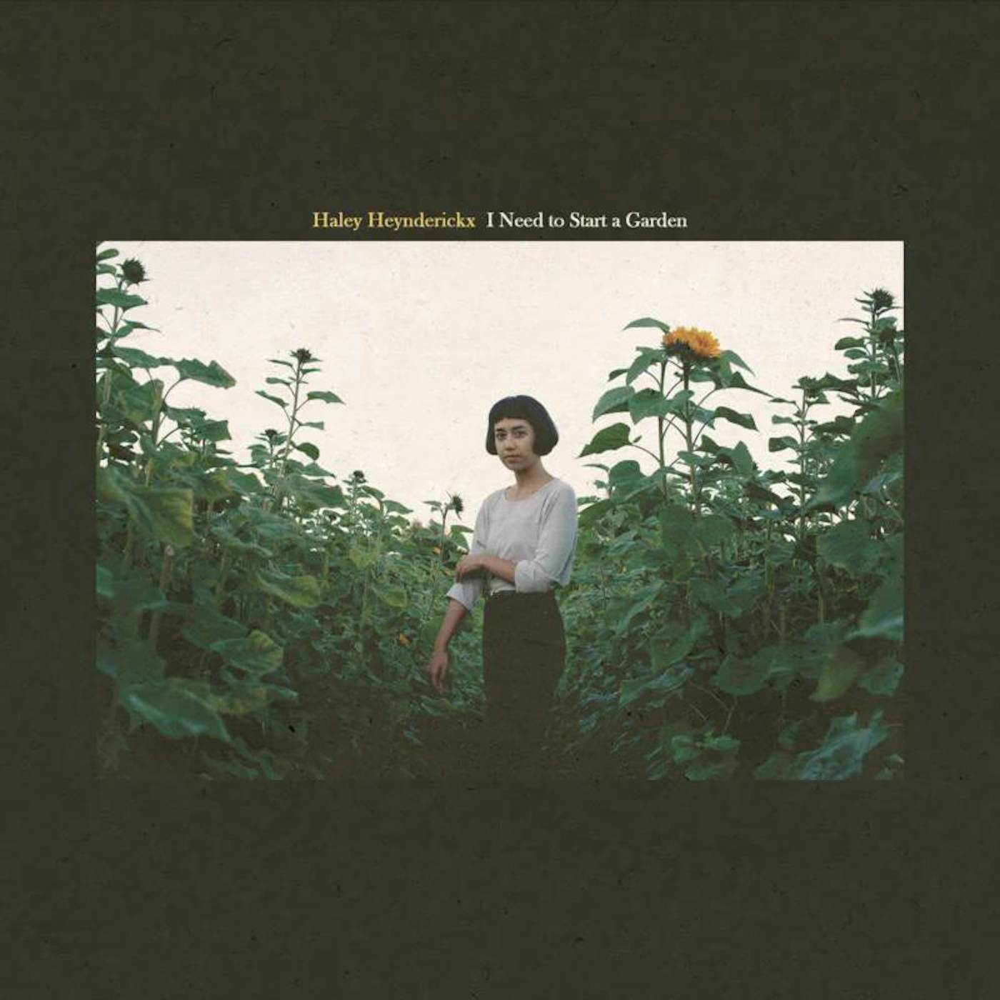 Haley Heynderickx LP - I Need To Start A Garden (Vinyl)