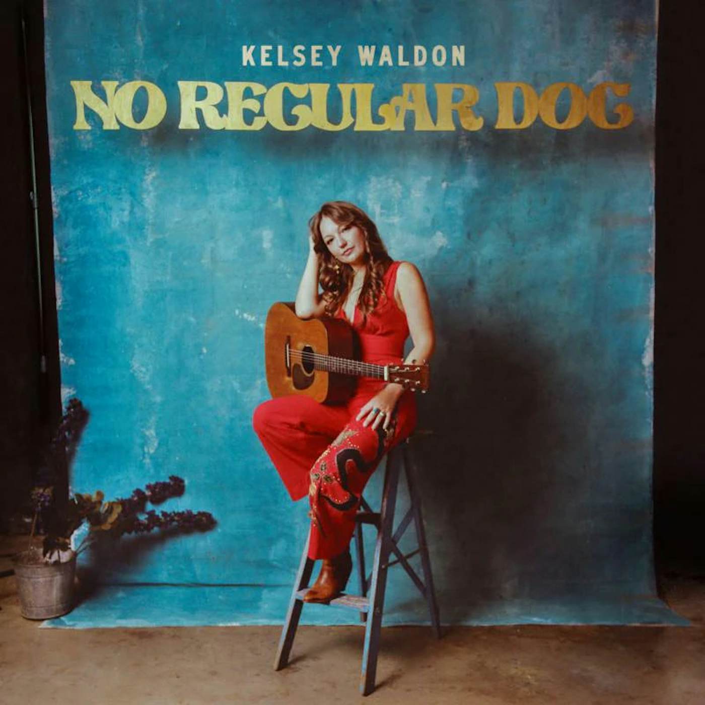 Kelsey Waldon LP - No Regular Dog (Vinyl)