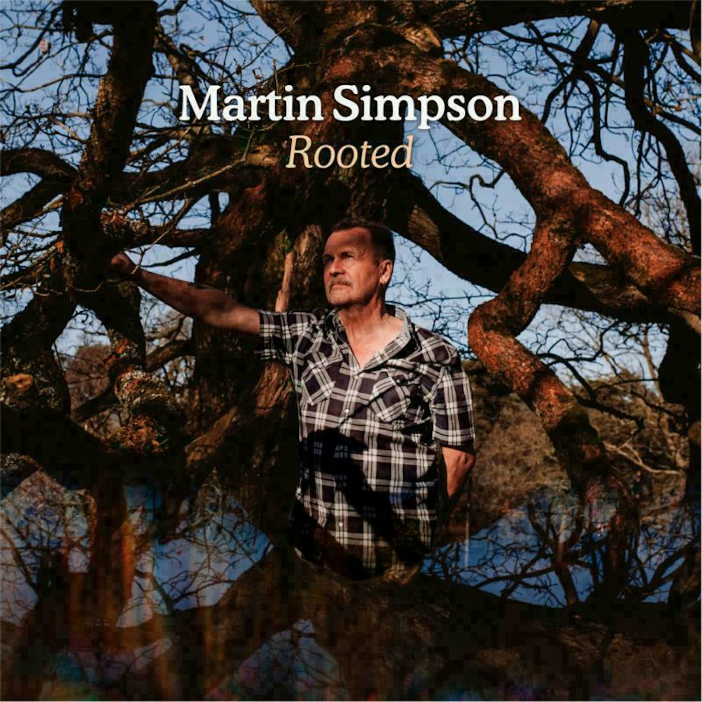 Martin Simpson LP - Rooted (Vinyl)