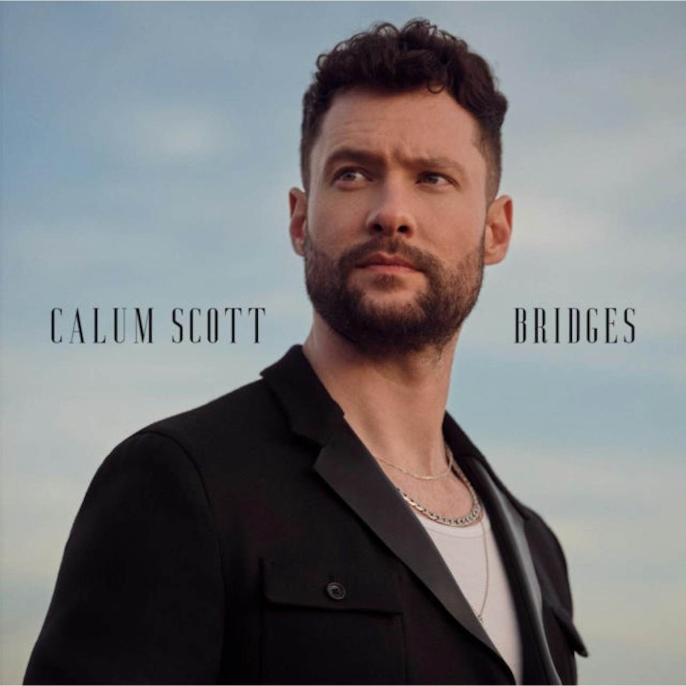 Calum Scott  LP - Bridges (Vinyl)