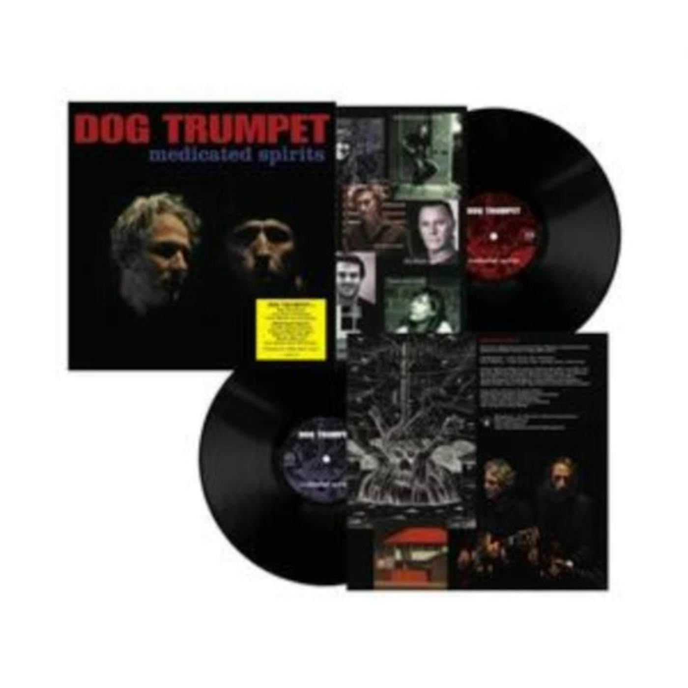 Dog Trumpet LP - Medicated Spirits (Vinyl)