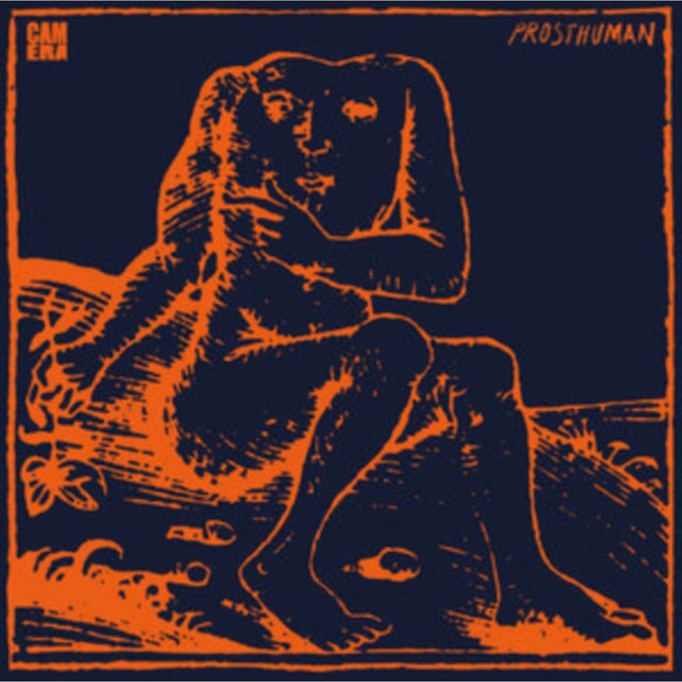 Camera LP - Prosthuman (Vinyl)