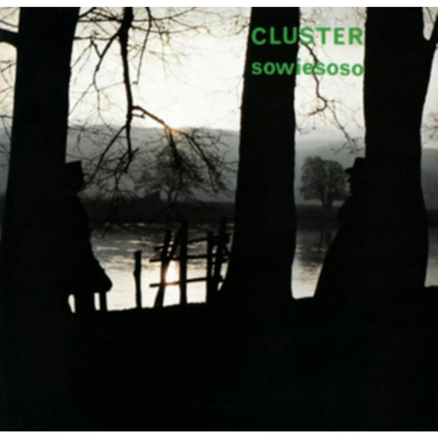 Cluster LP - Sowiesoso (Vinyl)