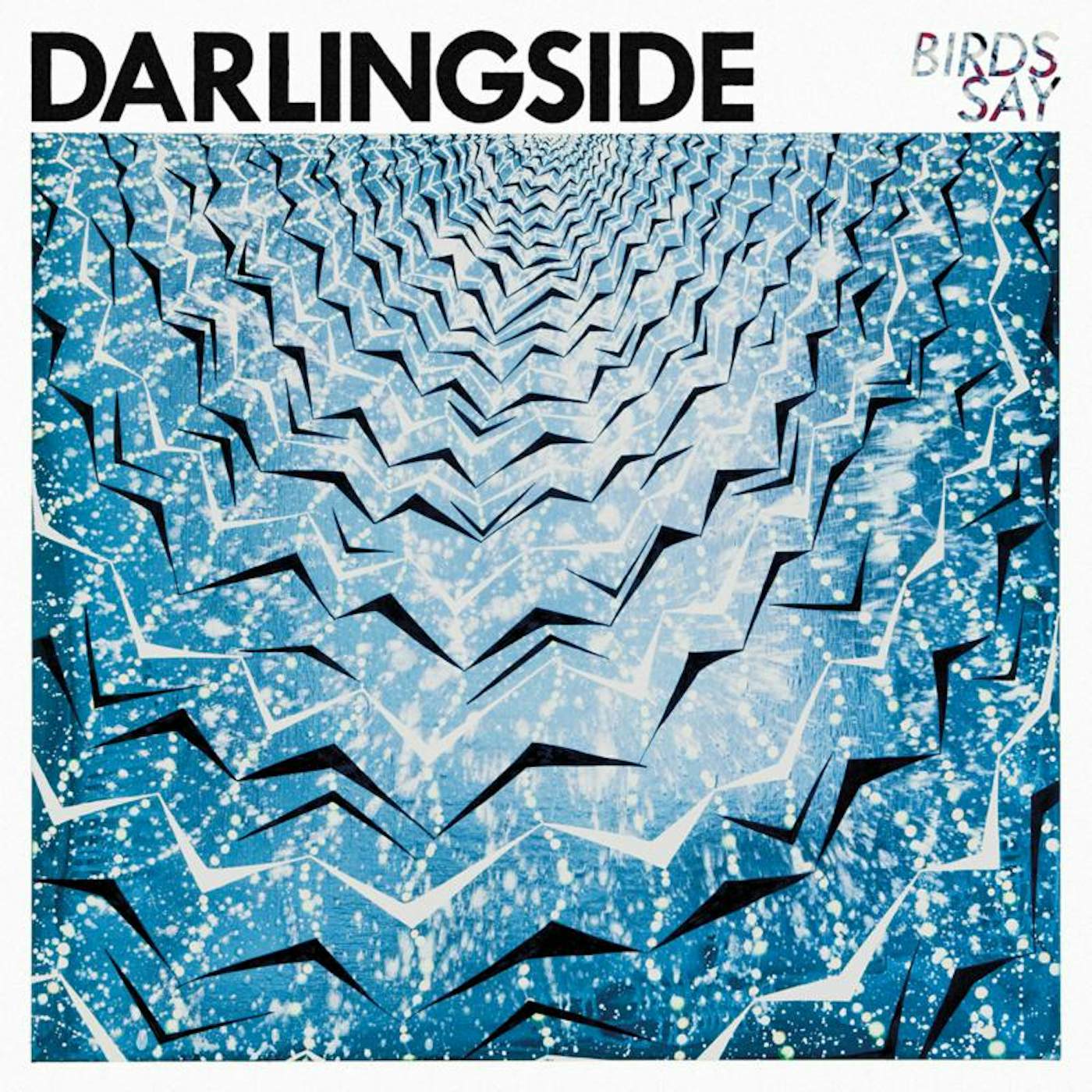 Darlingside LP - Birds Say (Vinyl)