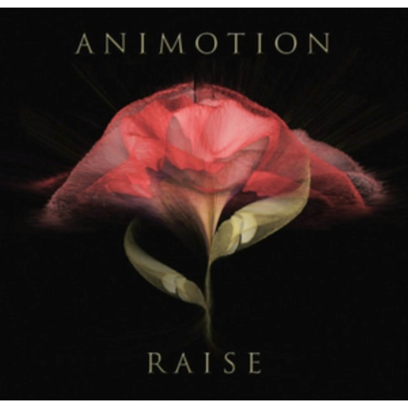 Animotion LP - Raise Your Expectations (Vinyl)