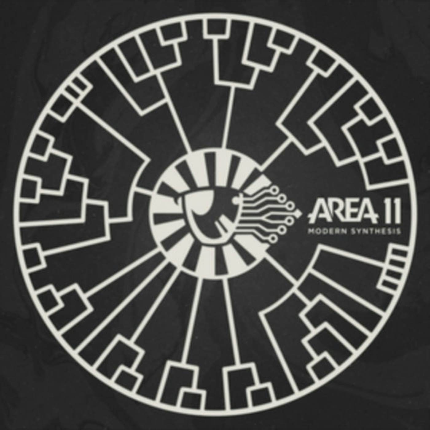 Area 11 LP - Modern Synthesis (Vinyl)