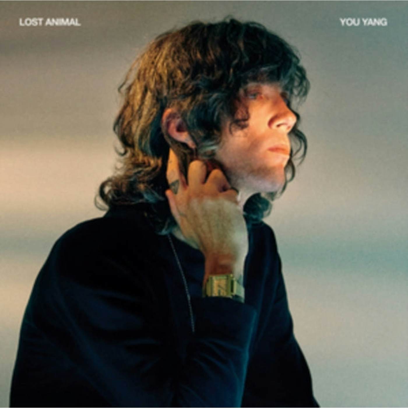 Lost Animal LP - You Yang (Vinyl)