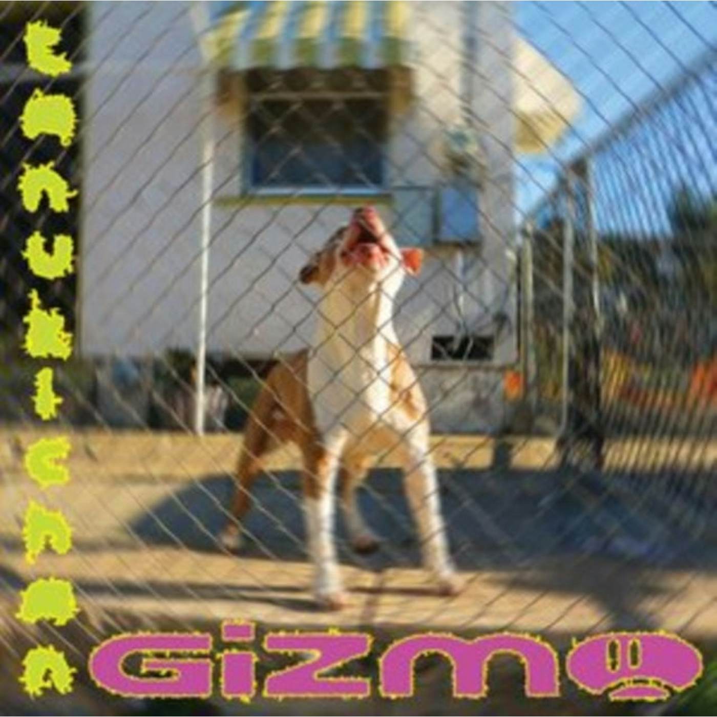 Tanukichan LP - Gizmo (Vinyl)