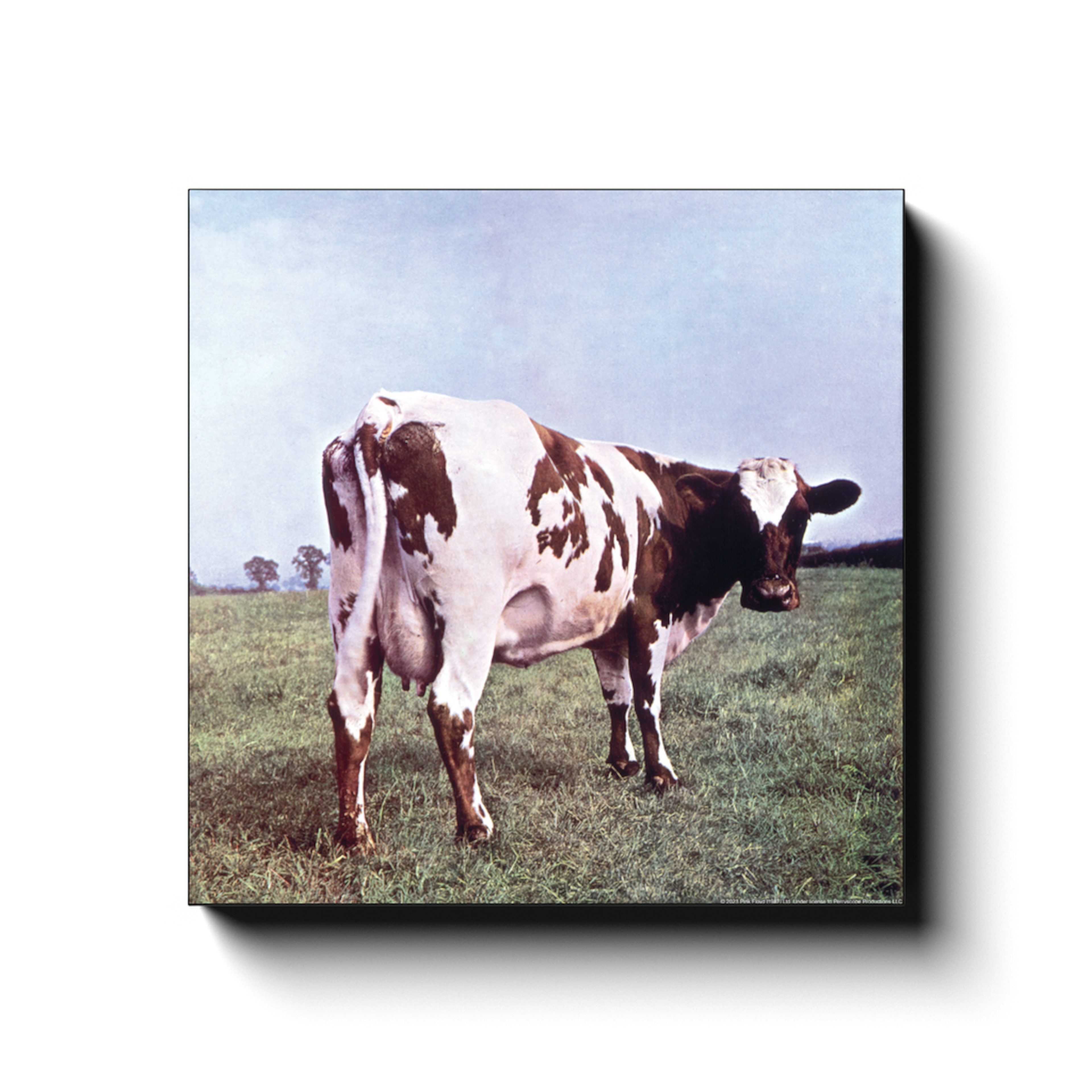 Pink Floyd Wall Art Atom Heart Mother Album Cover Pink Floyd Canvas Wrap 7337