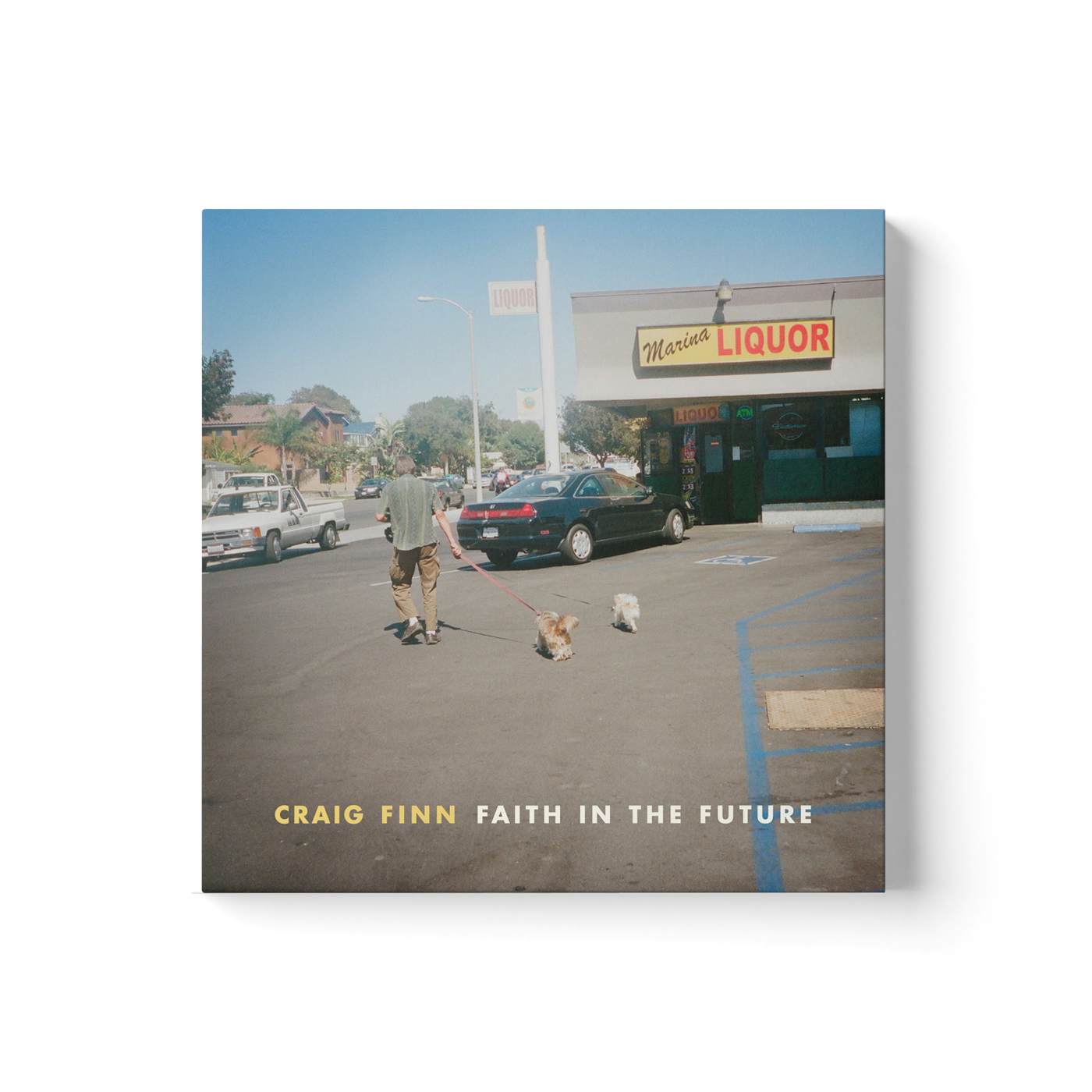 Craig Finn - Faith in the Future CD