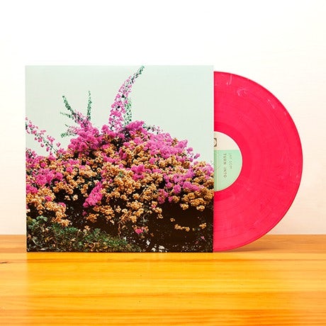 Jay Som Turn Into (Vinyl)