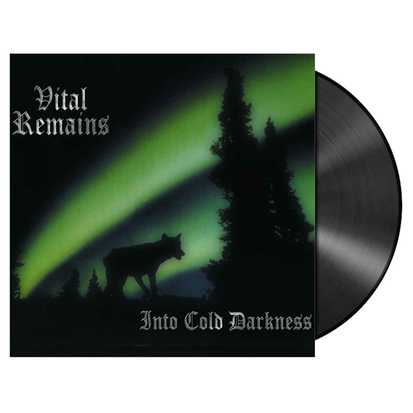 VITAL REMAINS - 'Into Cold Darkness' LP (Vinyl)