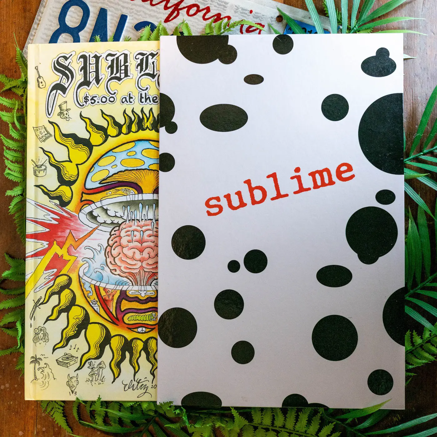 Sublime Merch, Shirts, Hoodies & Vinyl Store