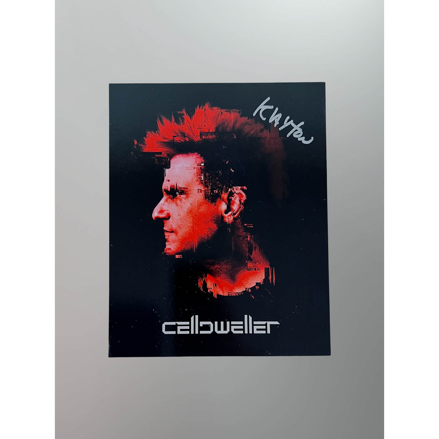Celldweller - Autographed 8x10 Print