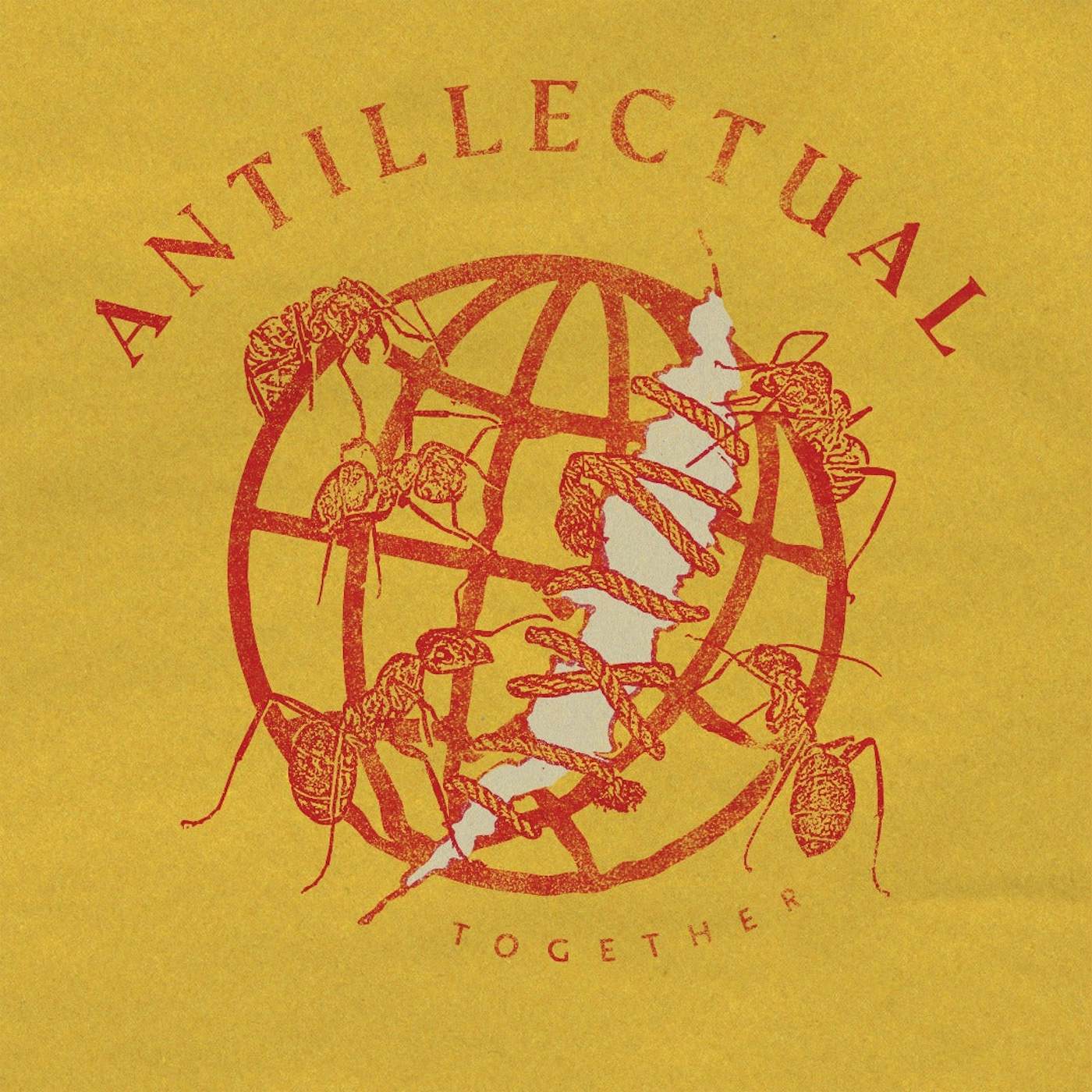 Antillectual - Together - CD (2023)