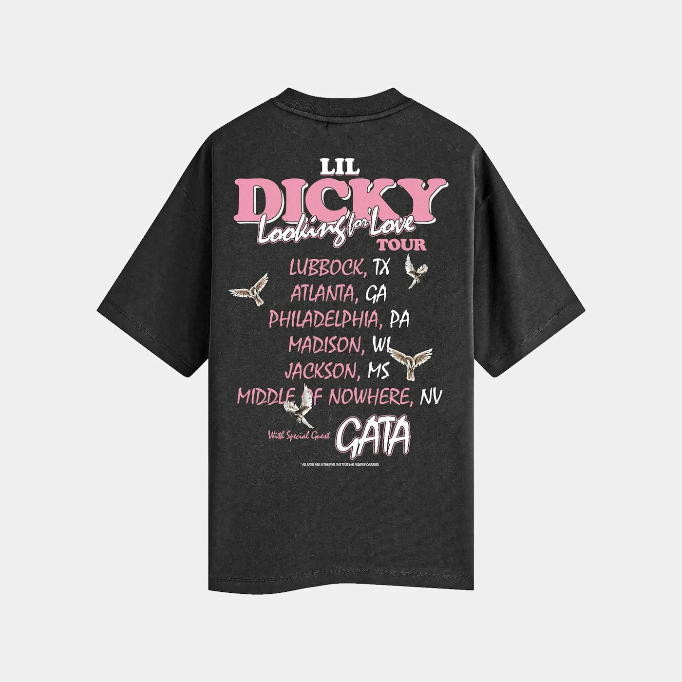 Lil Dicky LOOKING FOR LOVE TOUR TEE