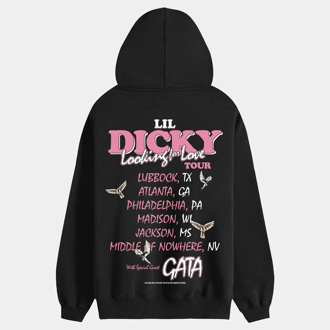 Lil Dicky LOOKING FOR LOVE TOUR HOODIE