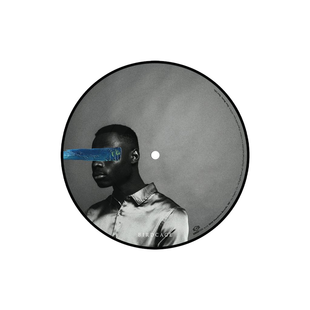 Holding Absence 'Gravity/Birdcage' 7 Inch Picture Disc