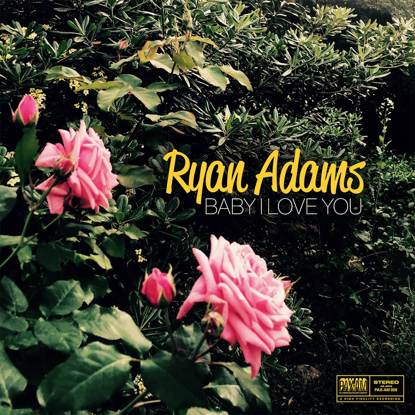 Ryan Adams Baby I Love You - Digital