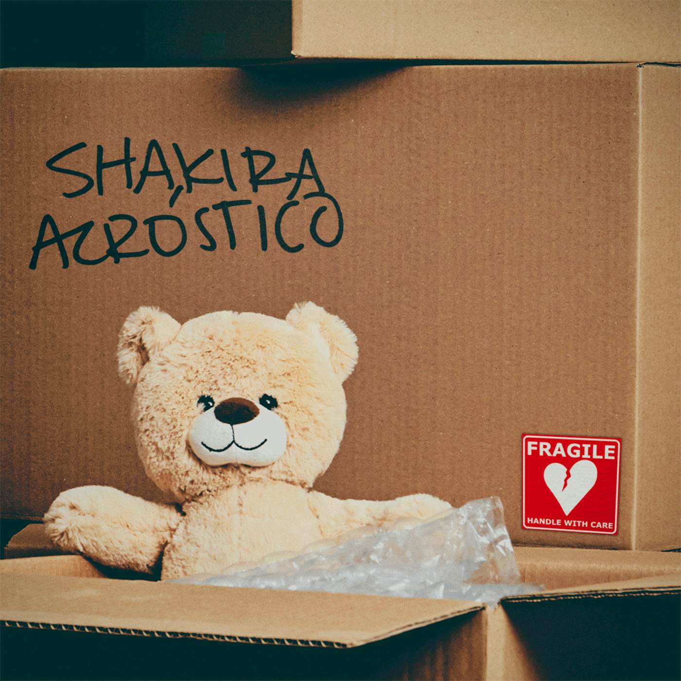 Shakira Acróstico - Digital Download